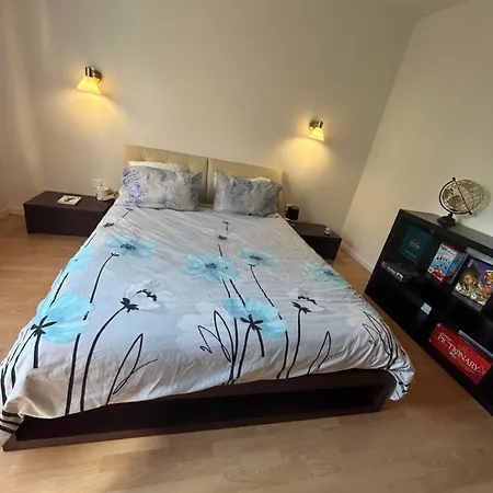 Superbe Appartement Avec Belle Terrasse Bischheim Exterior foto