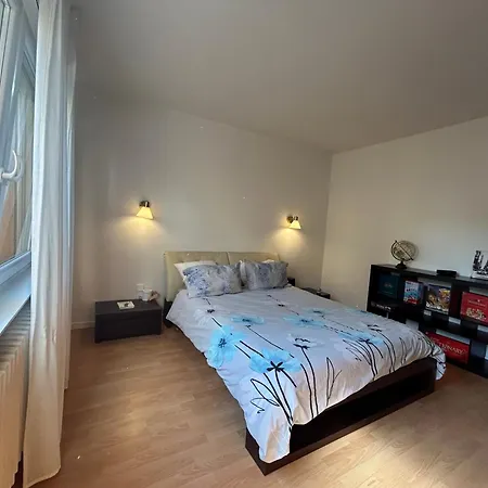 Superbe Appartement Avec Belle Terrasse Bischheim Exterior foto